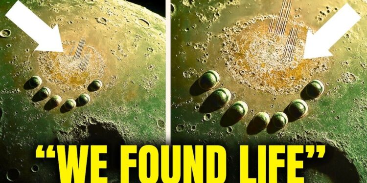 NASA: ALIEN Civilization Spotted on Proxima B – Signal Confirms It!